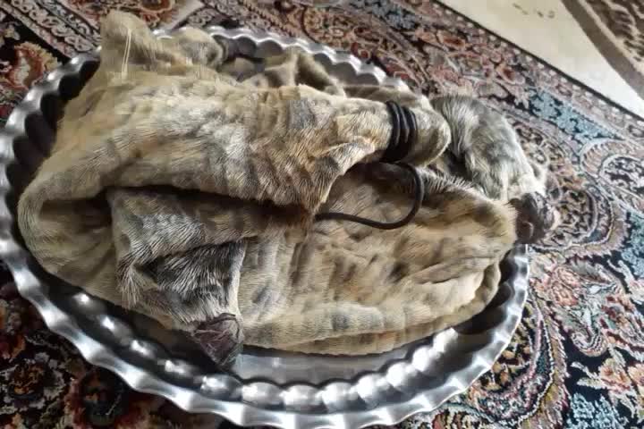 هیزه جا روغن یا خیک|ظروف نگهدارنده، پلاستیکی، یکبارمصرف|اندیمشک, |دیوار