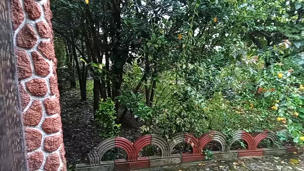 اجاره کوتا مدت درجاده ماسوله با آرامش کامل|اجارهٔ کوتاهمدت ویلا و باغ|ماکلوان, |دیوار