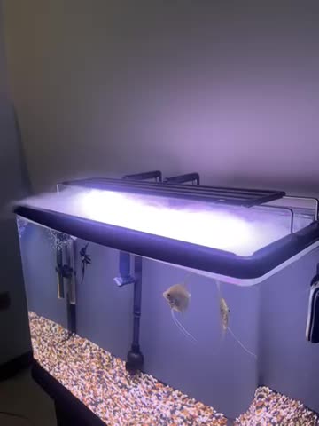 اکواریوم ۶۰در۴۰|ماهی|تهران, ویلاشهر|دیوار