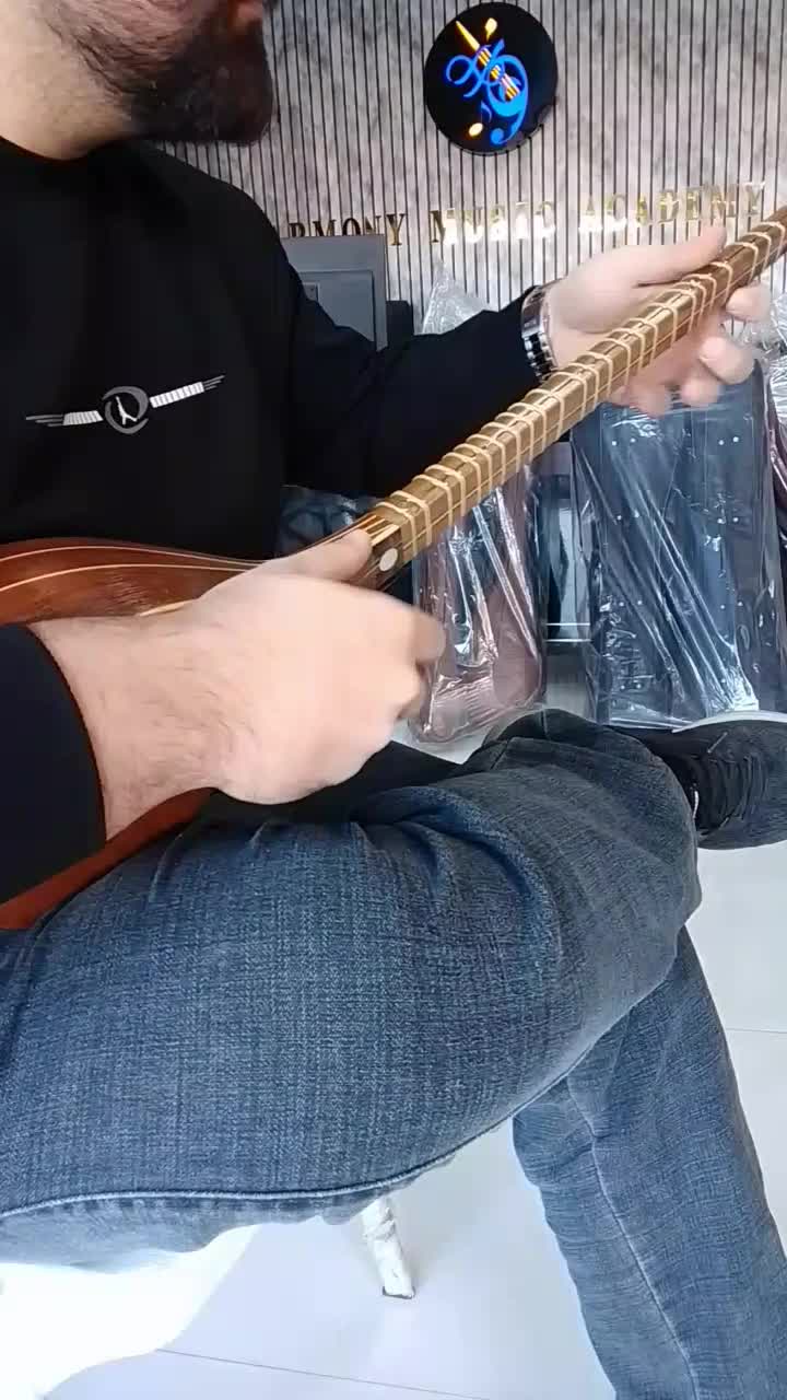 سه تار دست ساز بوریایی|سازهای سنتی|مشکیندشت, |دیوار