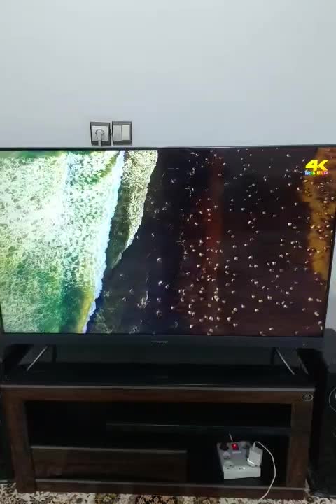 فروش ال ای دی ایکس ویژن ۵۵ اینچ هوشمند|تلویزیون و پروژکتور|قم, ولیعصر|دیوار