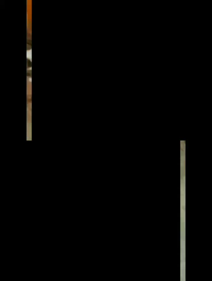 بوشهری|پرنده|دلوار, |دیوار