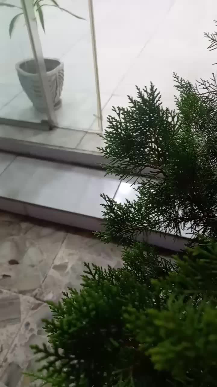 اجاره مغازه ۲۶ متری|اجارهٔ مغازه و غرفه|رودسر, |دیوار