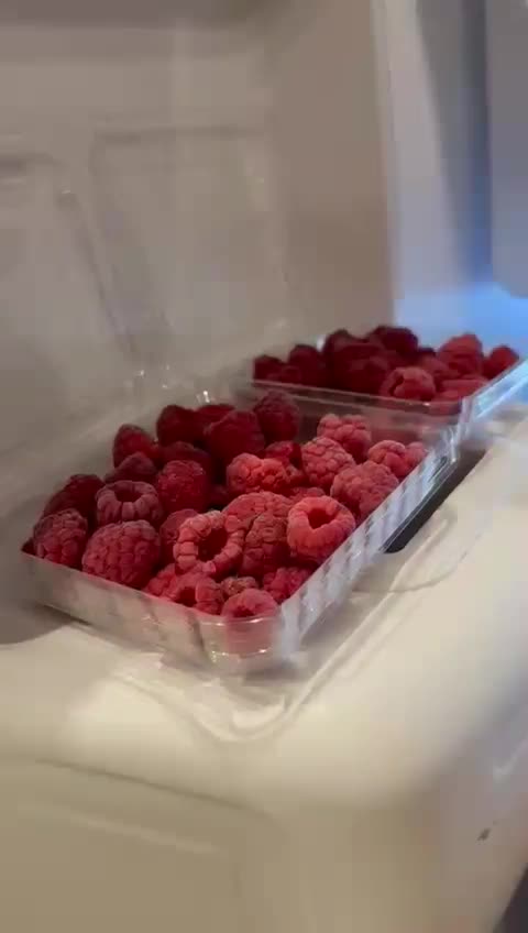 پخش رزبری ومیوه های استوایی در رشت|خوردنی و آشامیدنی|رشت, پستک|دیوار