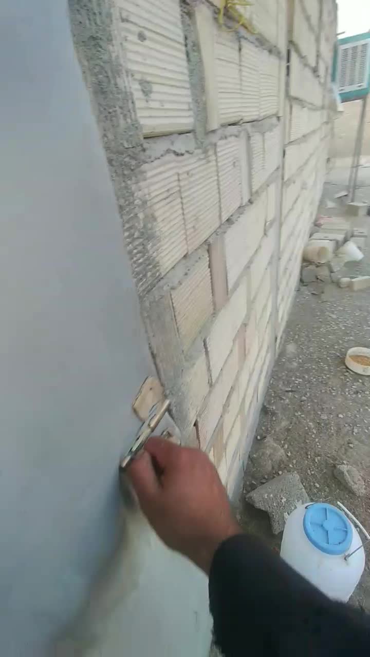 مرغ خروس گلپایگان|حیوانات مزرعه|هشتگرد, شهرک راه آهن|دیوار