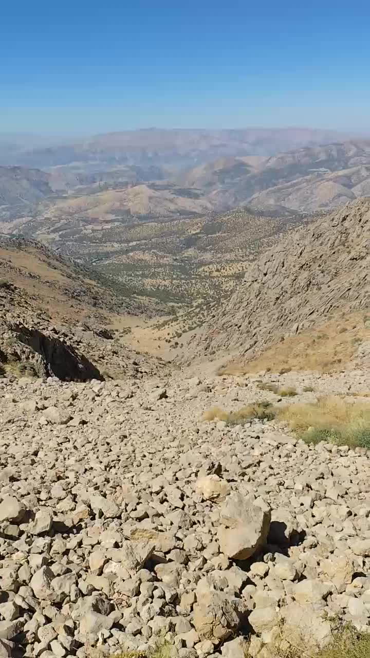 عسل صد درصد طبیعی دارویی کردستان که تو عمرت نخوردی|خوردنی و آشامیدنی|تهران, نارمک|دیوار