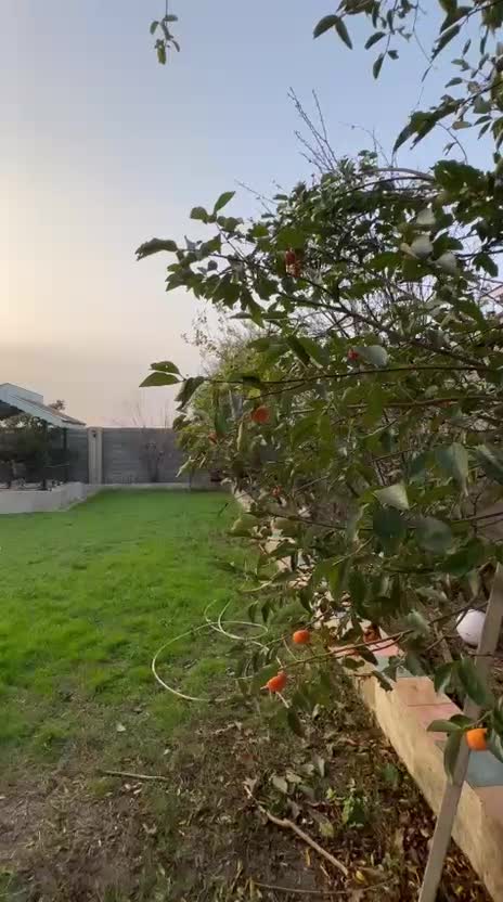 فروش ویلا زمین (کد 530)|فروش خانه و ویلا|کوچصفهان, |دیوار