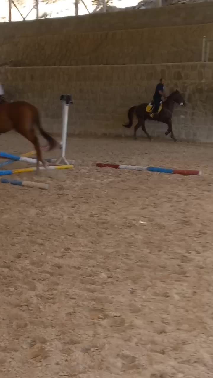 فروش اسب مادیان یکسر|اسب و تجهیزات اسب‌سواری|لواسان, |دیوار