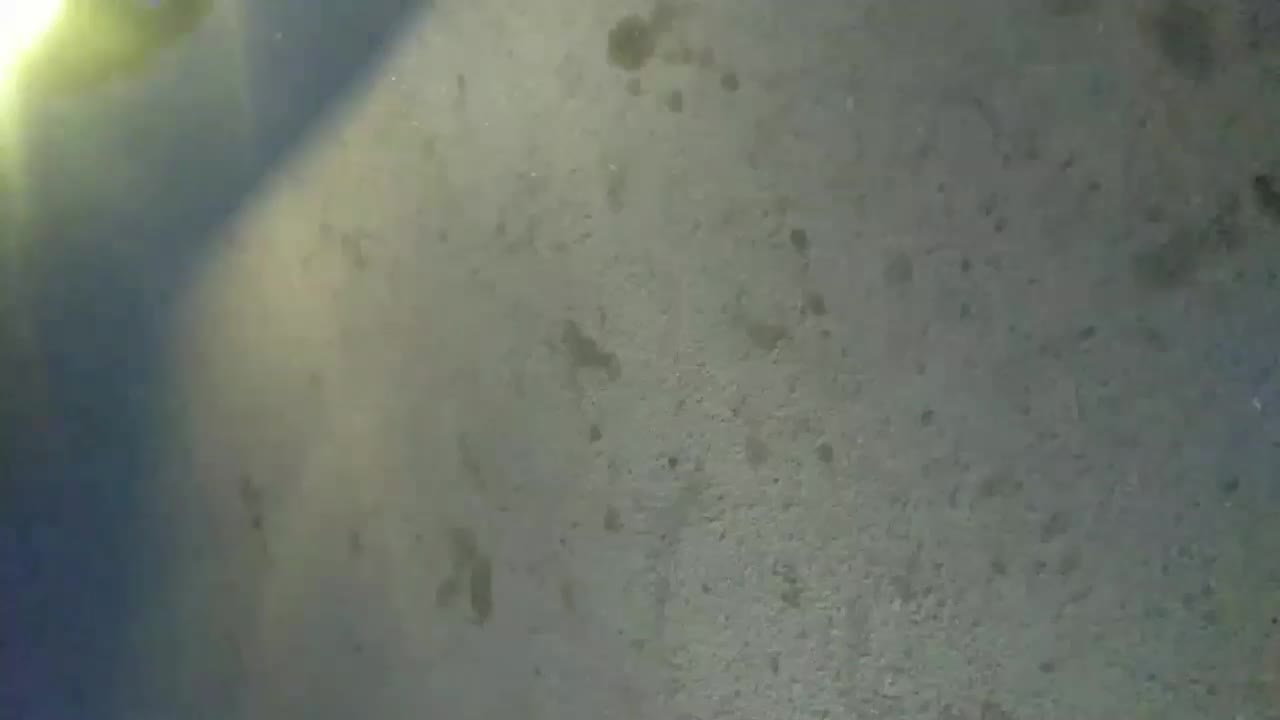 پراید|خودرو سواری و وانت|اردبیل, |دیوار