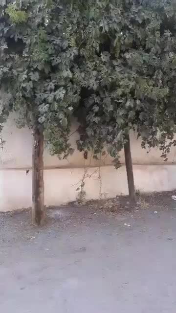 باغ ویلا۶۳متری درجابان|فروش خانه و ویلا|تهران, هلال احمر|دیوار