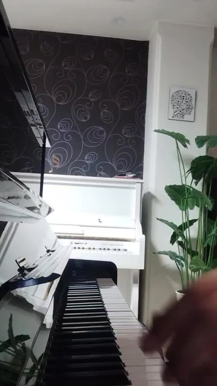 گالری پیانو|پیانو، کیبورد، آکاردئون|کرج, جهانشهر|دیوار