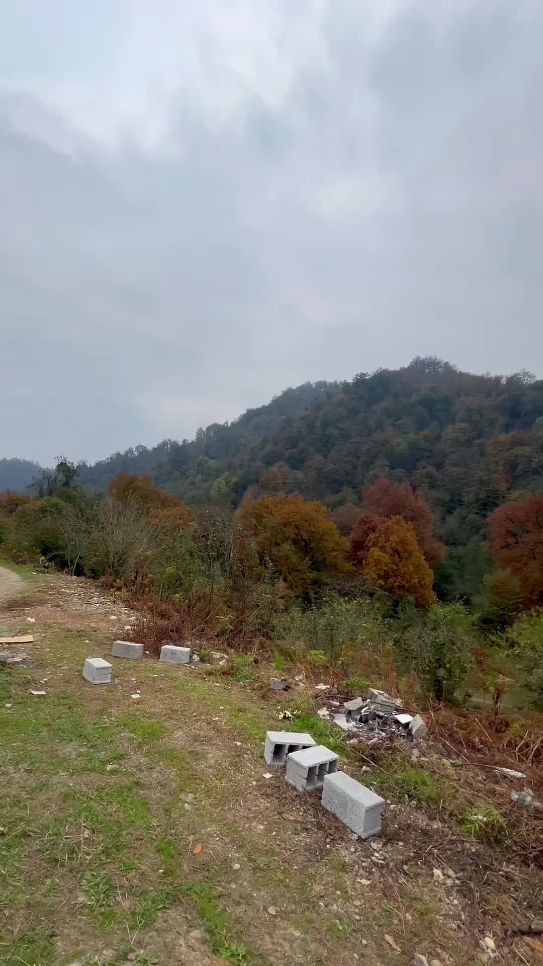 تراس ویلات بشین صدای رودخونه با چشم انداز جنگل|فروش خانه و ویلا|اسالم, |دیوار