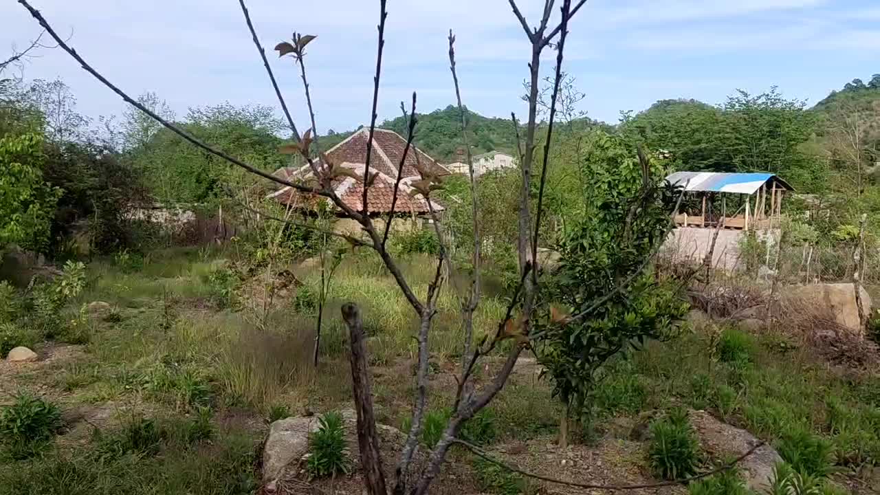 636متر زمین ویلایی مسکونی در شیرآباد|فروش زمین و ملک کلنگی|حویق, |دیوار