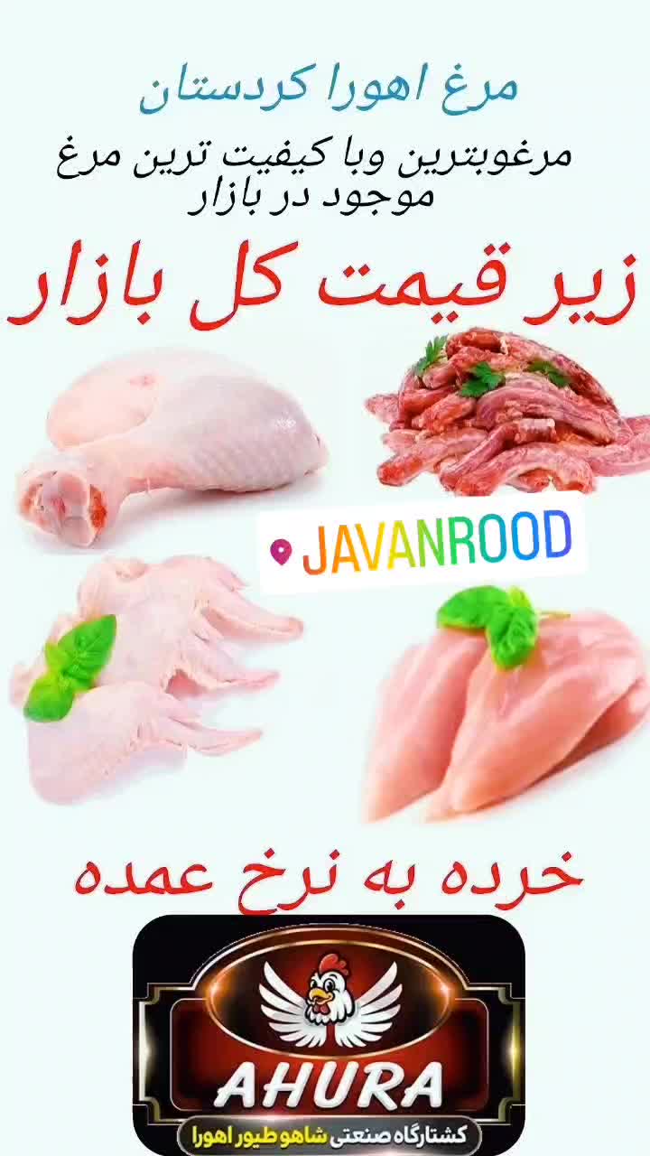 فروش مرغ وقطعات مرغ به قیمت عمده|حراج|جوانرود, |دیوار