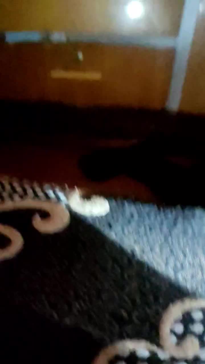 چراغ قوه پیشانی|کوهنوردی و کمپینگ|امیدیه, |دیوار