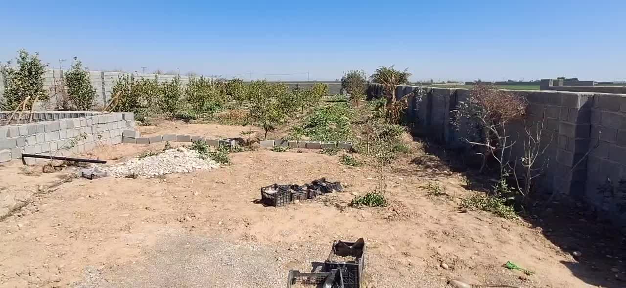 فروش باغچه ۱۰۰۰ متری|فروش خانه و ویلا|اندیمشک, |دیوار