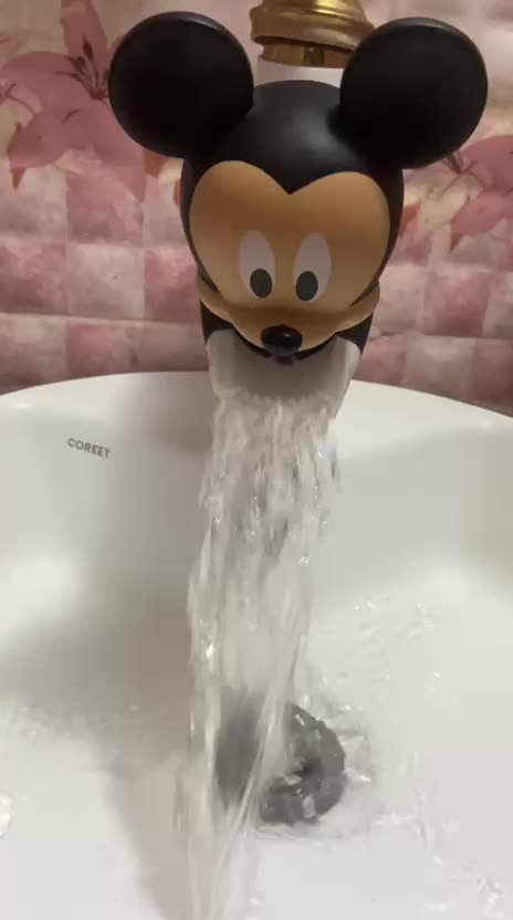 آبریز طرح میکی موس|مصالح و تجهیزات ساختمان|صدرا-فارس, فاز ۱|دیوار