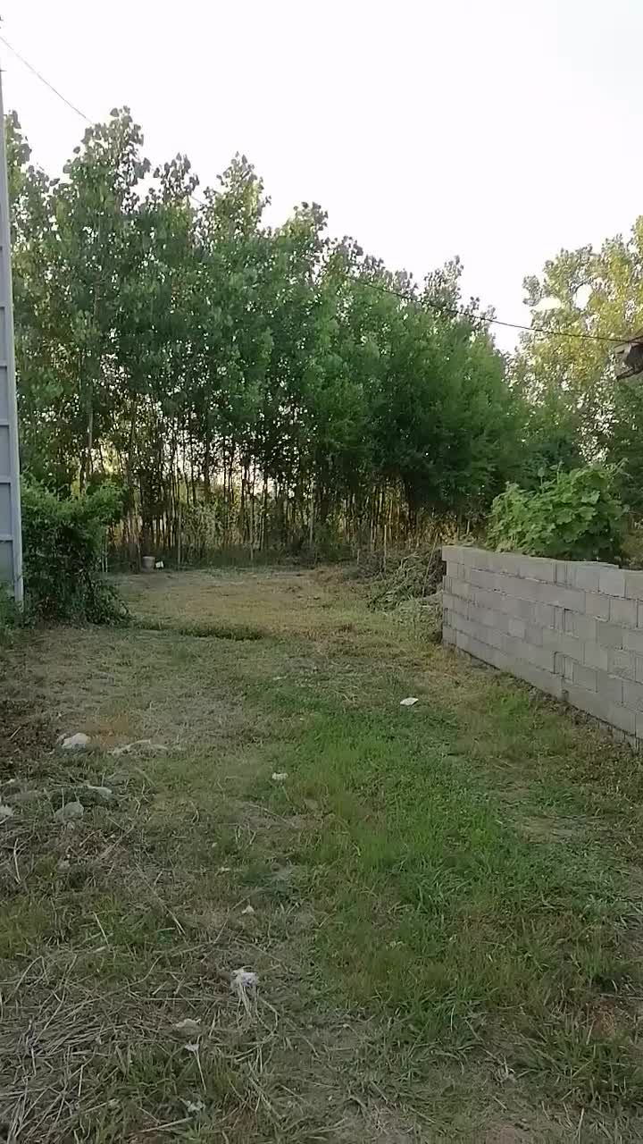 ۳۵۲ متر زمین با جواز ساخت ۱۰۰ متری آماده خلخالیان|فروش زمین و ملک کلنگی|پره‌سر, |دیوار