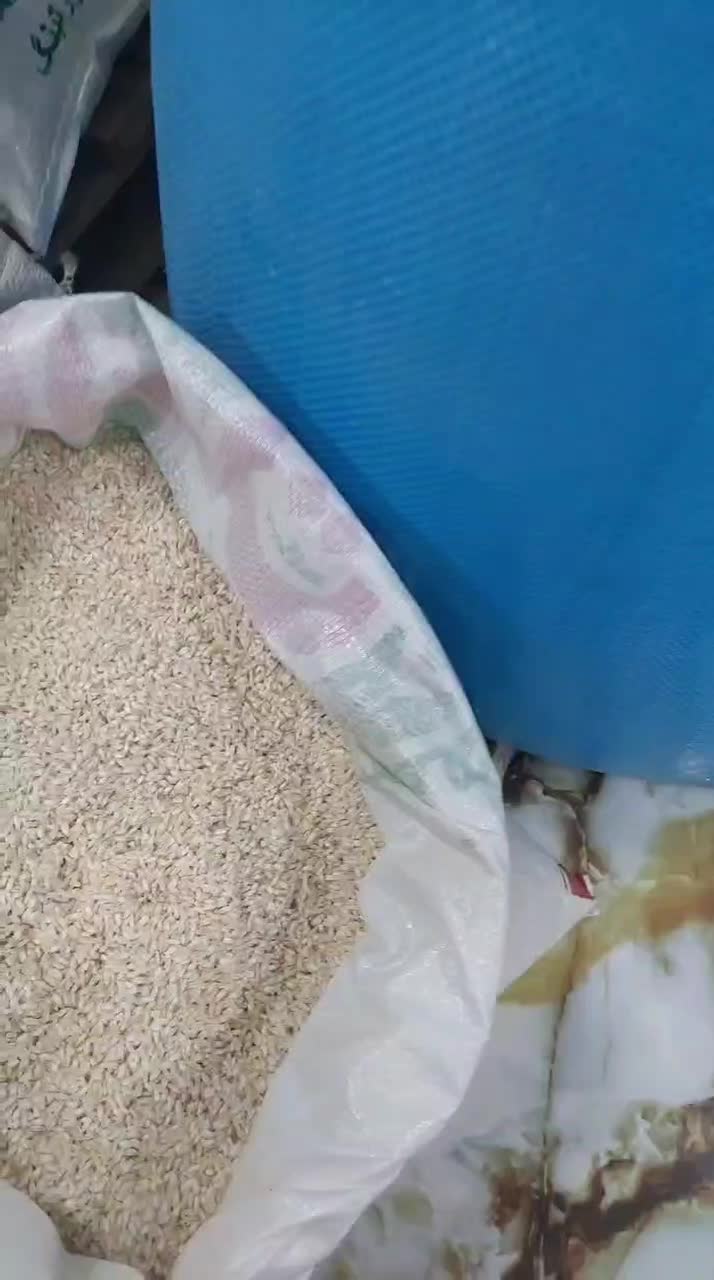 برنج قلوه|خوردنی و آشامیدنی|زرگرشهر, |دیوار