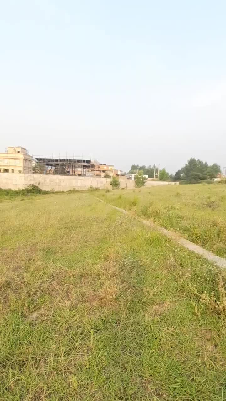 فروش زمین در شهرک 4هکتاری سند دار|فروش زمین و ملک کلنگی|امامزاده عبدالله, |دیوار