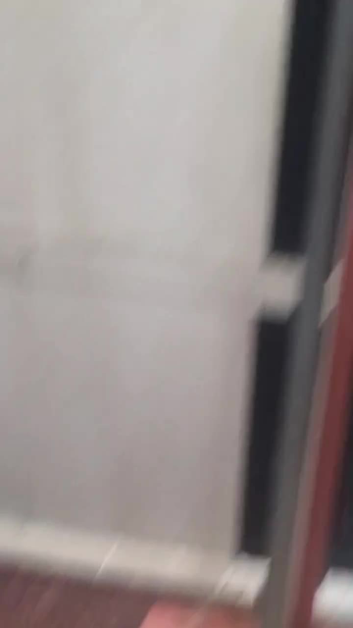 سهره قناری، سهره نر|پرنده|شهریار, شهریار|دیوار