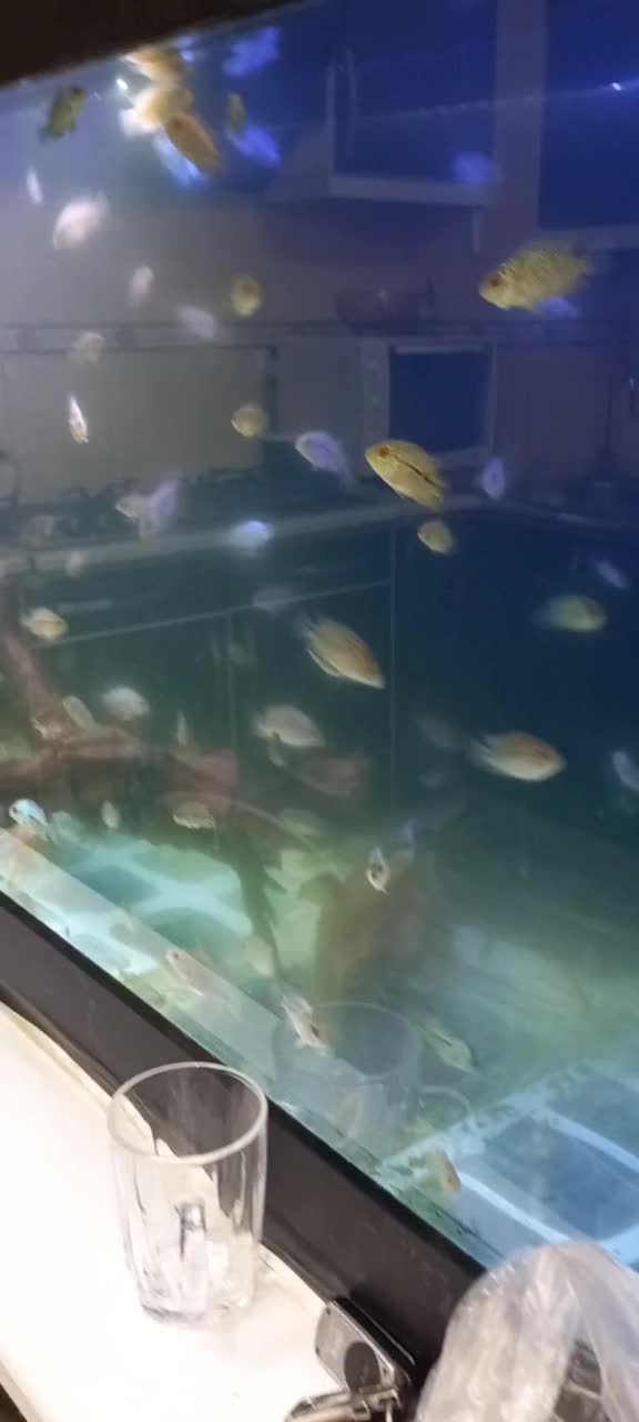 ماهی|ماهی|قم, مسکن مهر|دیوار