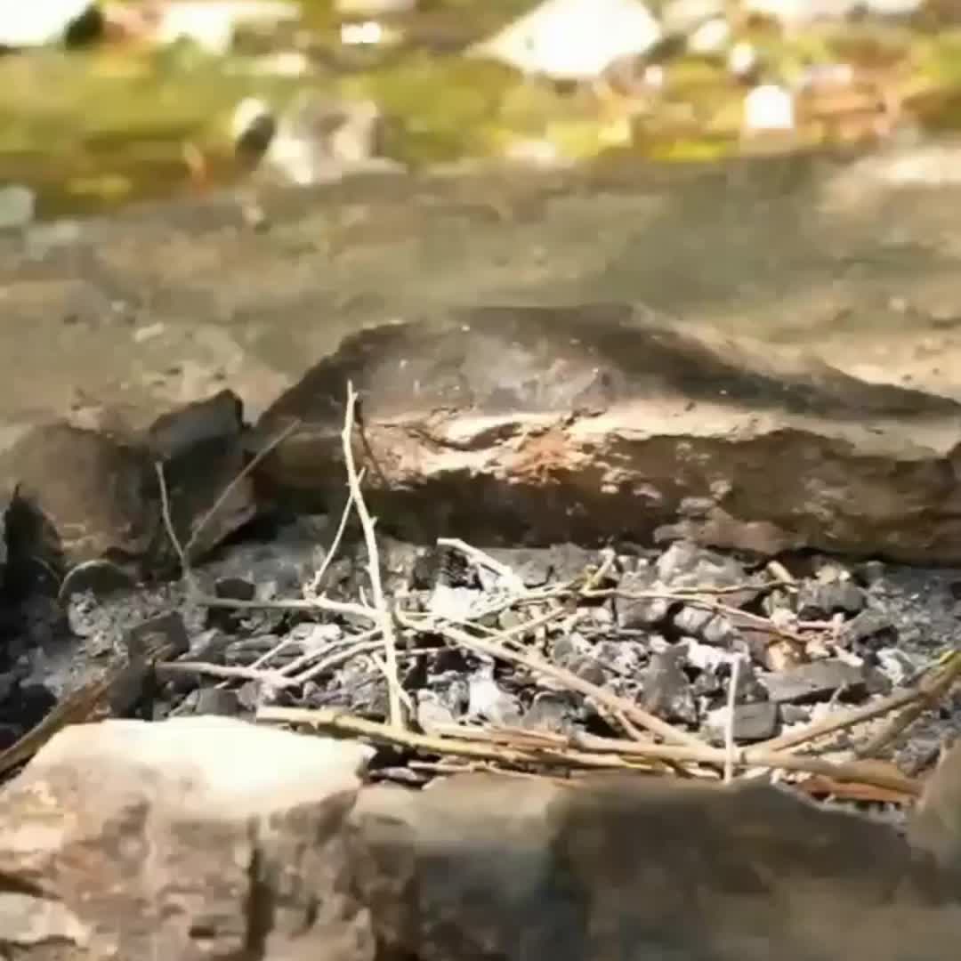 کتری قوری آتیشی کتری زغالی جنگلی قوری شامورتی|قوری، کتری، قهوهساز دستی|تهران, بازار|دیوار