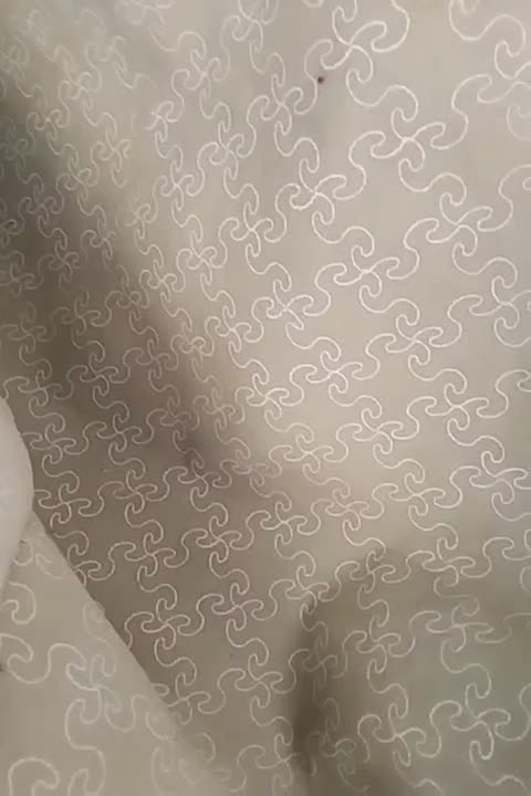 موکت موکت|موکت|یاسوج, |دیوار