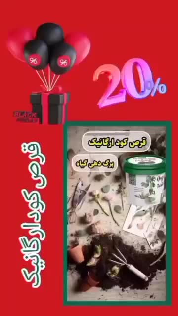 قرص‌کود|گل و گیاه طبیعی|دزفول, |دیوار