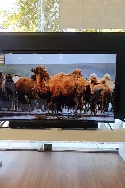 جدیدترین نسل تلویزیون اندروید ۱۴  Google TV|تلویزیون و پروژکتور|لنگرود, |دیوار