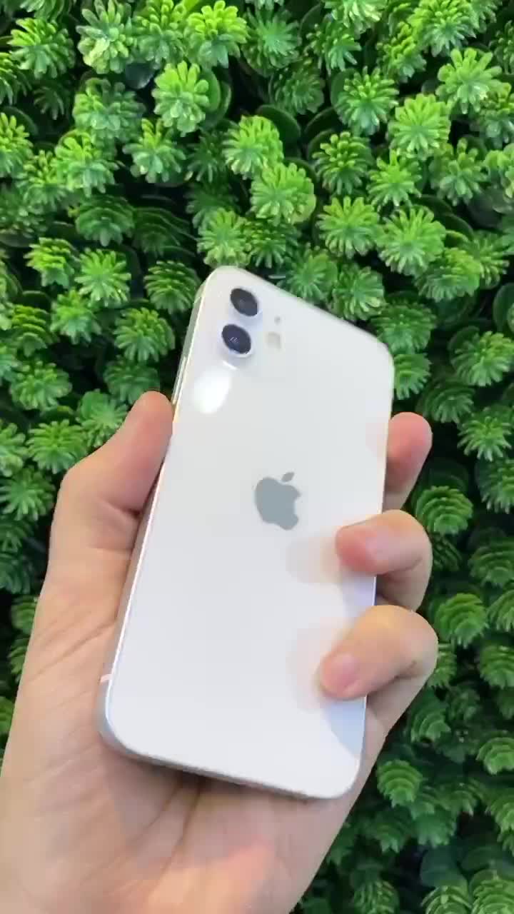 iphone 12Normal 128|موبایل|تهران, نصرت|دیوار