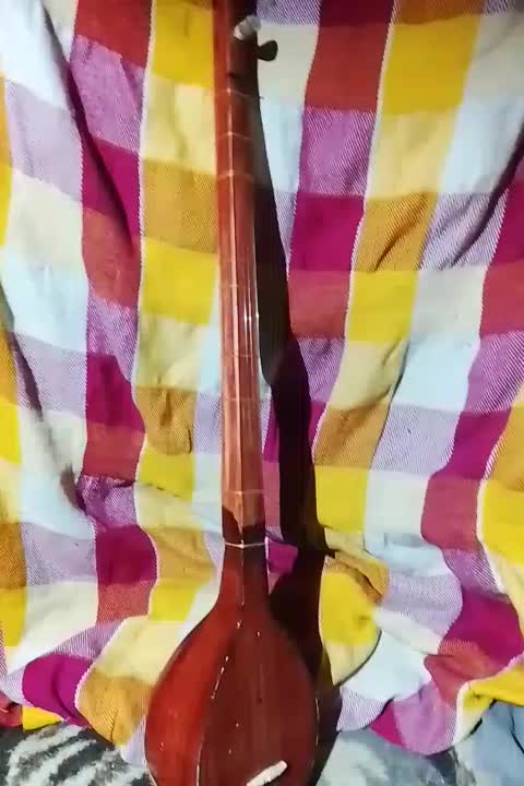 یه عدد ۳تار.|سازهای سنتی|مشهد, طبرسی شمالی|دیوار