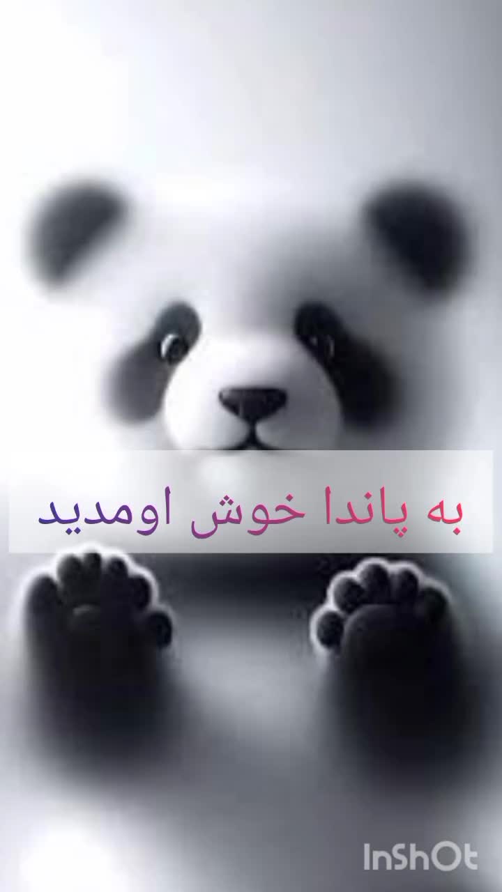 پانسیون حیوانات خانگی(سگ گربه پرنده خرگوش و. )|خدمات پیشه و مهارت|مشهد, الهیه|دیوار