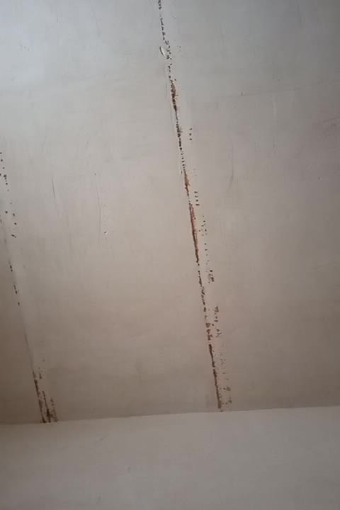 زمین در کاریزنو کلالی پایین معداباد|فروش زمین و ملک کلنگی|تربت جام, کاریز نو سفلی|دیوار