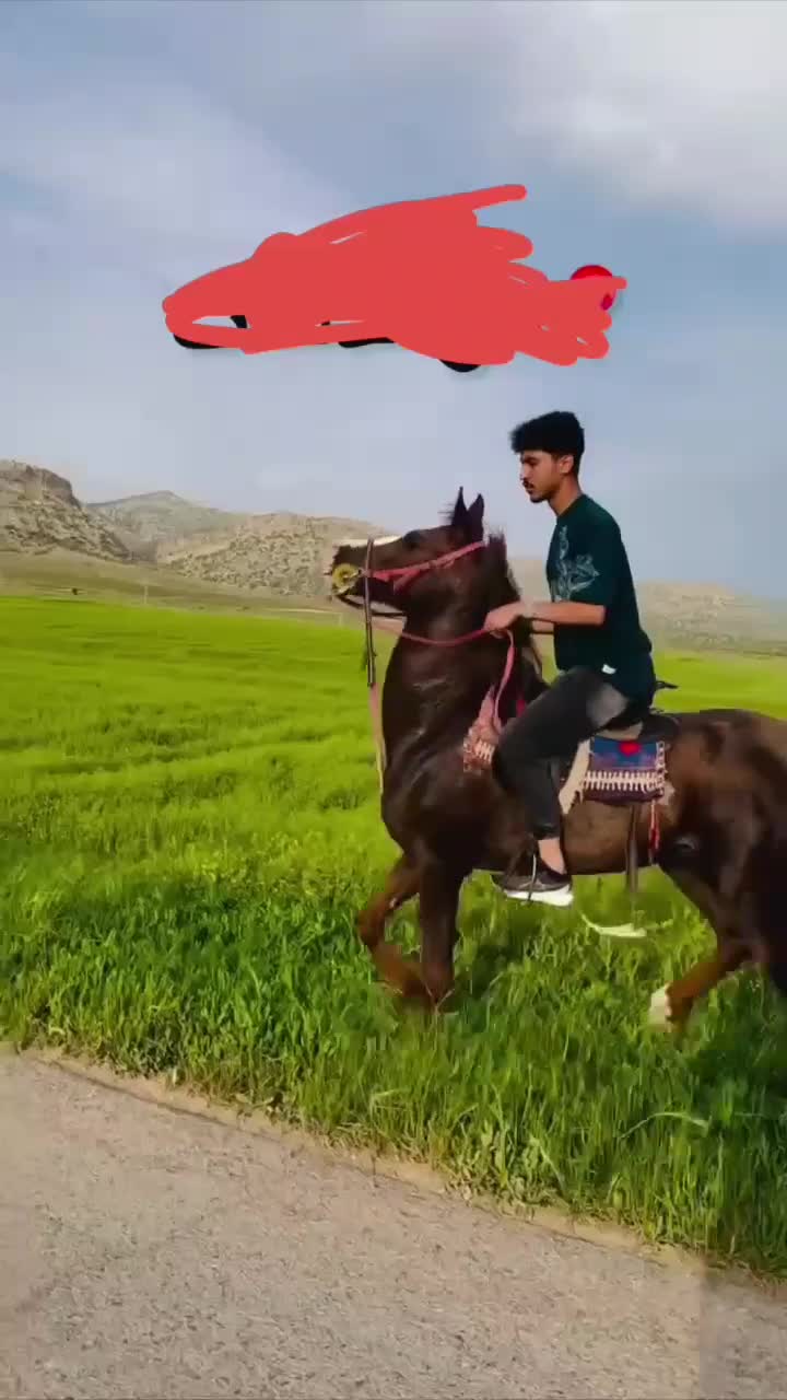 اسب|اسب و تجهیزات اسبسواری|کوهدشت, |دیوار