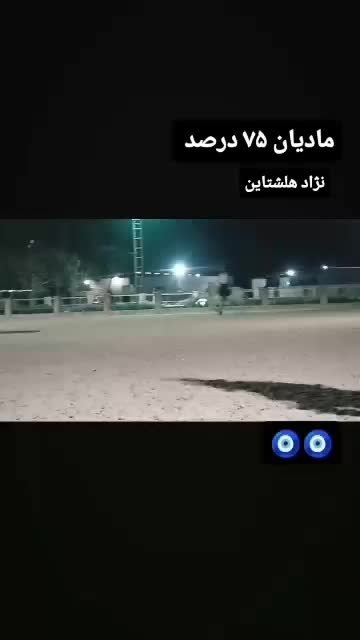 اسب..مادیان نژاد ورزشی|اسب و تجهیزات اسبسواری|تهران, هاشمآباد|دیوار