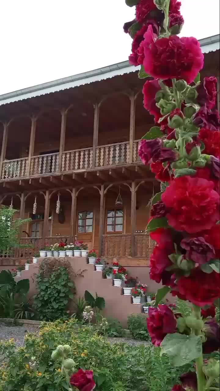 اجاره سوییت با امنیت کامل و رستوران|اجارهٔ کوتاه‌مدت آپارتمان و سوئیت|رشت, توشیبا|دیوار