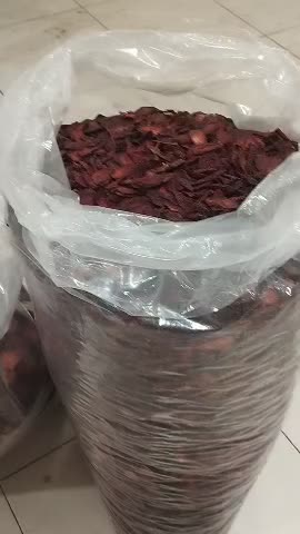 بستنی|خوردنی و آشامیدنی|تهران, ولی آباد|دیوار
