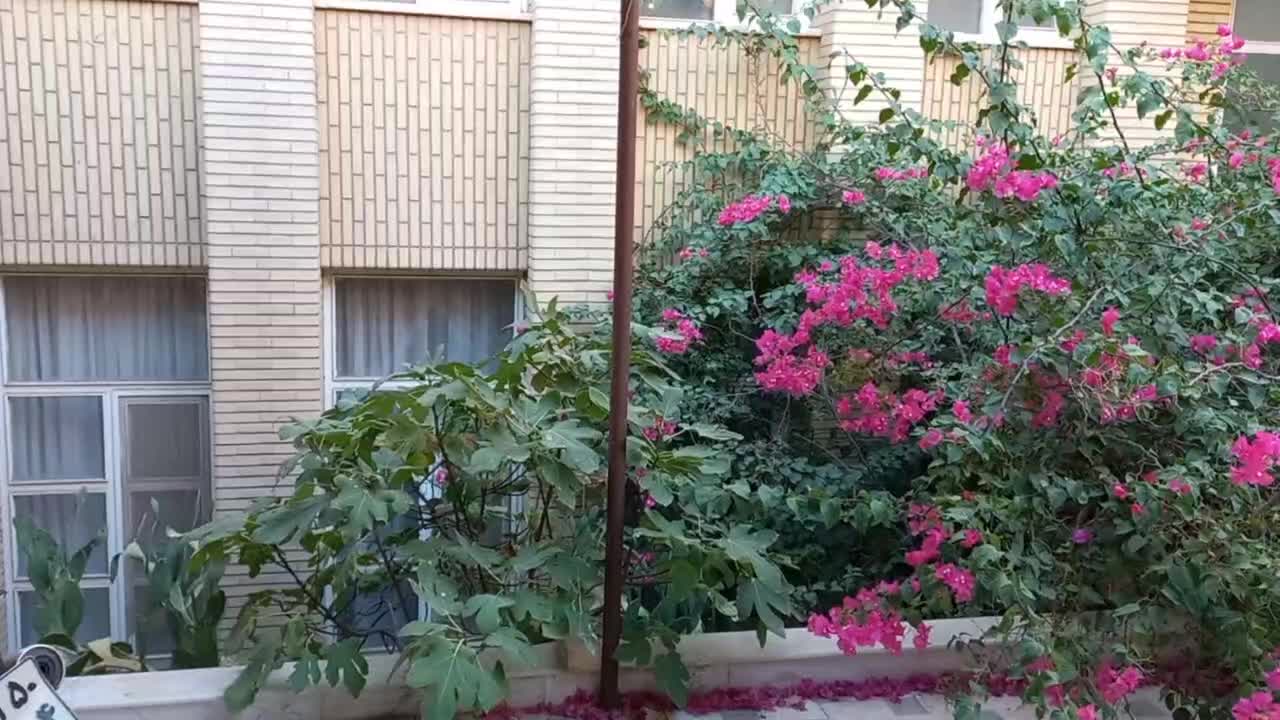 ویلایی روی همکف تخلیه|اجارهٔ خانه و ویلا|قم, شاه سید علی|دیوار