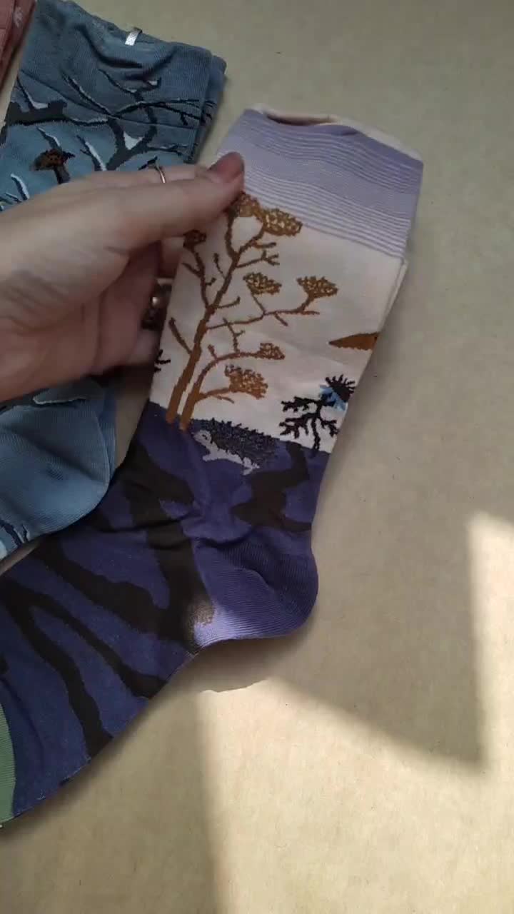 تمامی جورابای وارداتی به قیمت خرید|لباس|سبزوار, فقیه سبزواری|دیوار