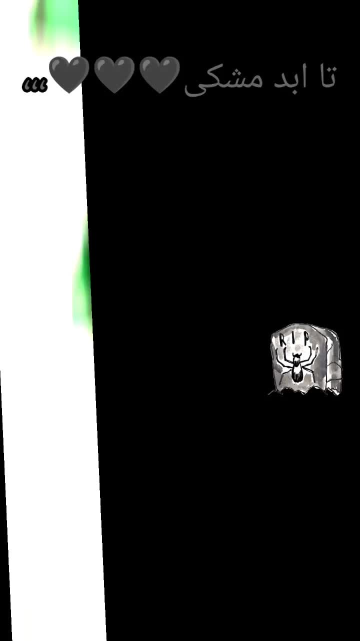 کبوتر|پرنده|رشت, حومه رشت|دیوار