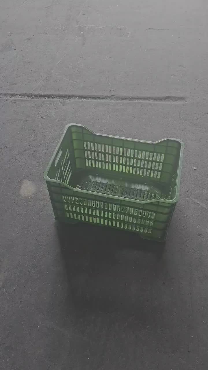 سبد جعبه گالن بشکه|عمده‌فروشی|شیراز, گل سرخ|دیوار