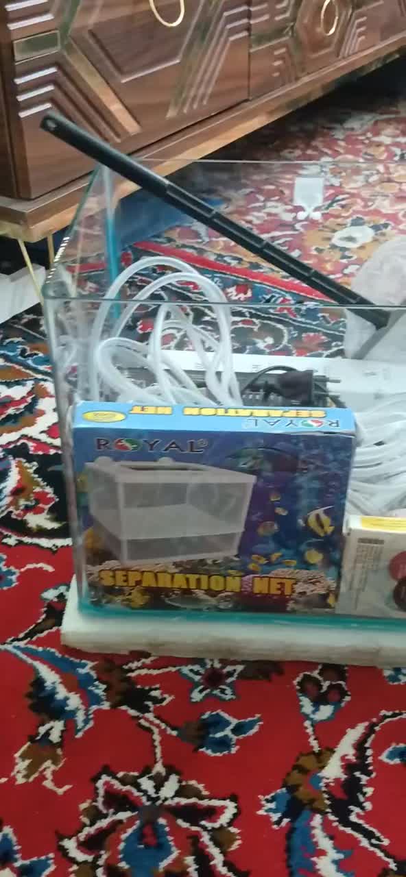 آکواریوم آکبند با کلی وسایل|ماهی|زاهدان, |دیوار