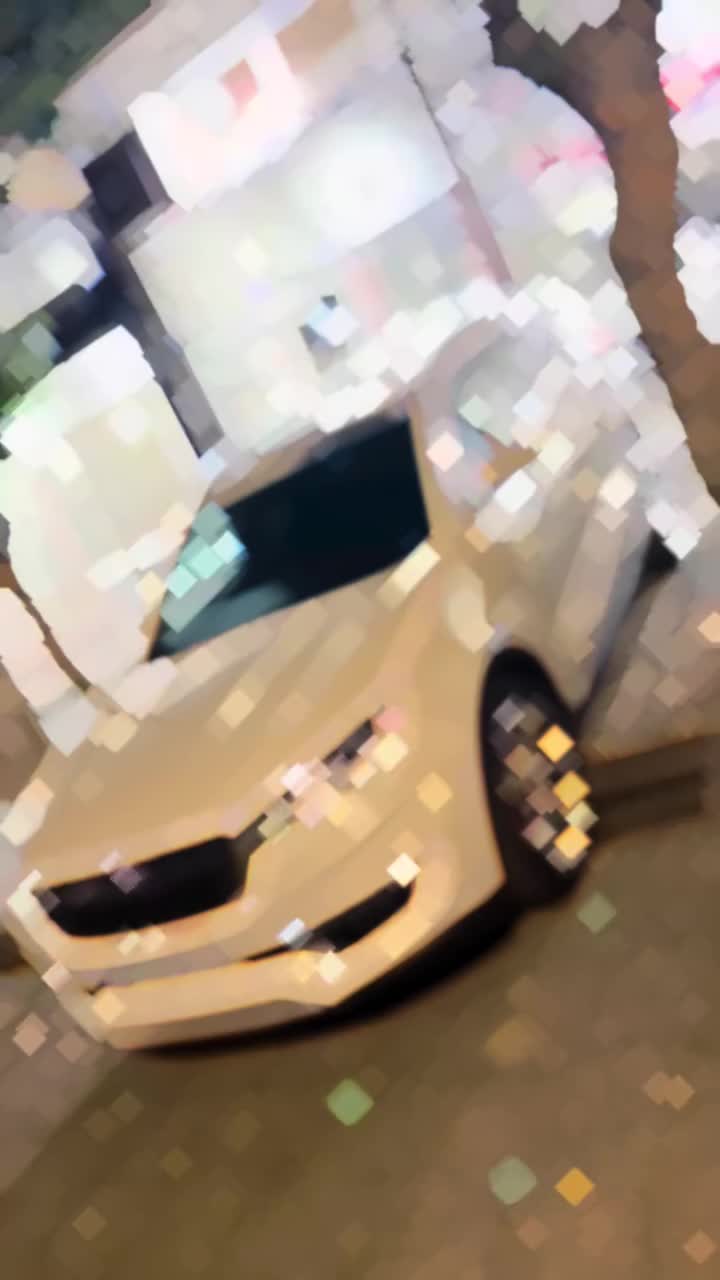 فیدیلیتی ۷ نفره ۵ پر|خودرو سواری و وانت|ارومیه, |دیوار