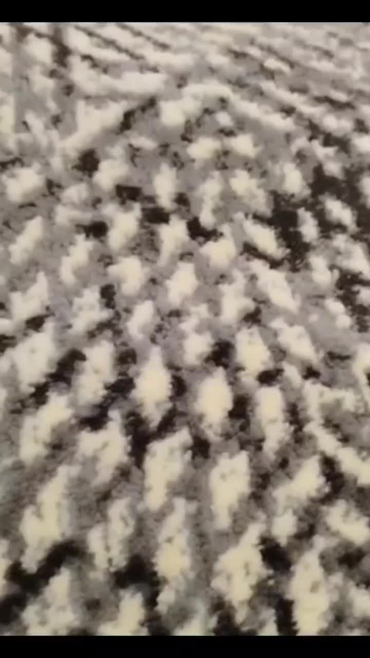 فرش|فرش|نیشابور, امام|دیوار