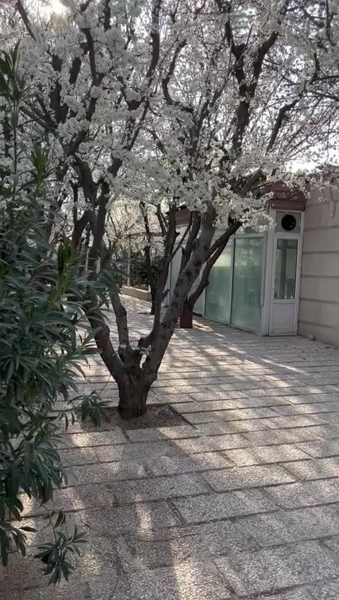 باغ اجاره ایی اقامتی و تفریحی|اجارهٔ کوتاهمدت ویلا و باغ|باغستان, |دیوار