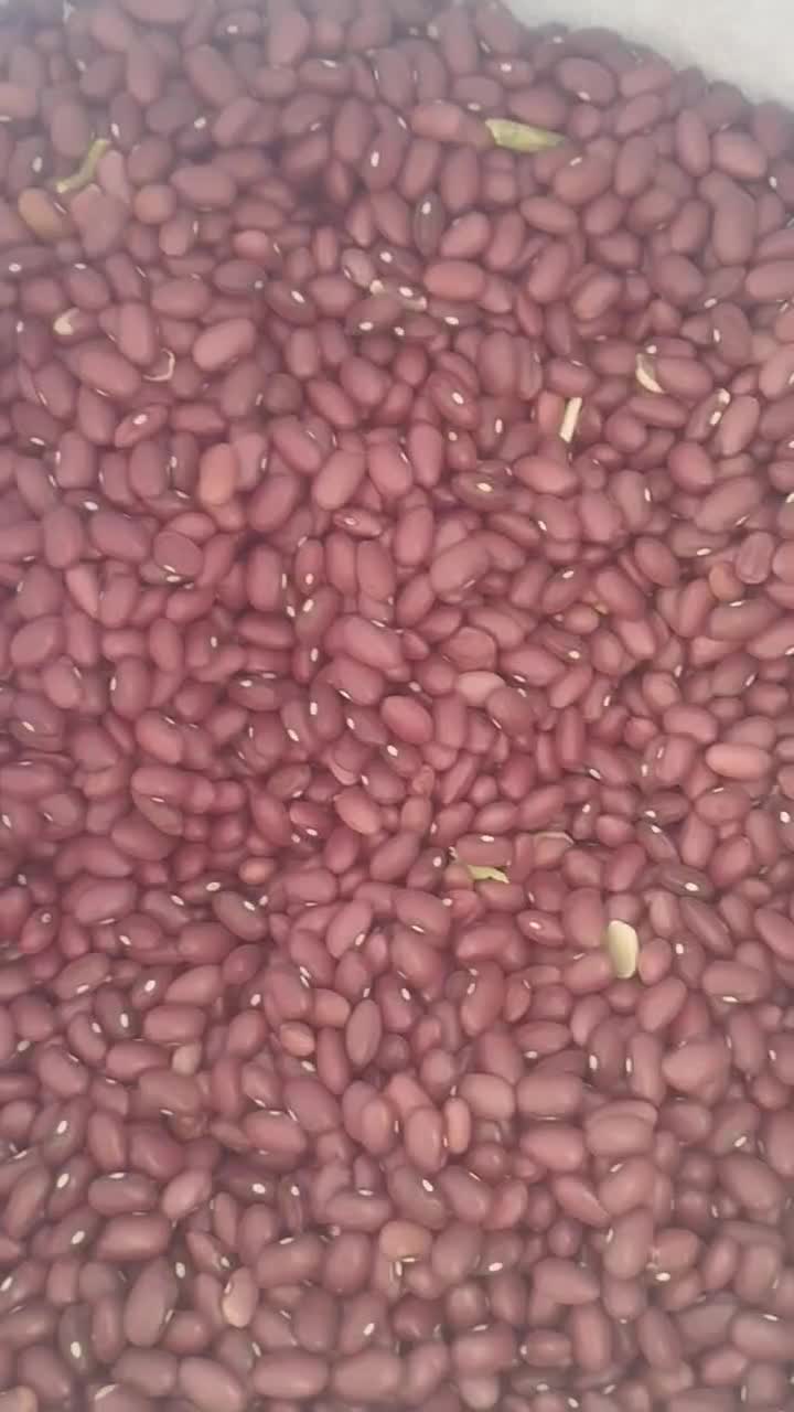 فروش دوتن لوبیا قرمز کشت امسال بوجاری شده|خوردنی و آشامیدنی|نمشیر, |دیوار