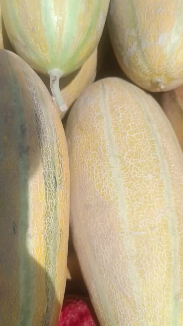 باربری نیسان اتو بار مارال|خدمات حمل و نقل|شاهرود, |دیوار