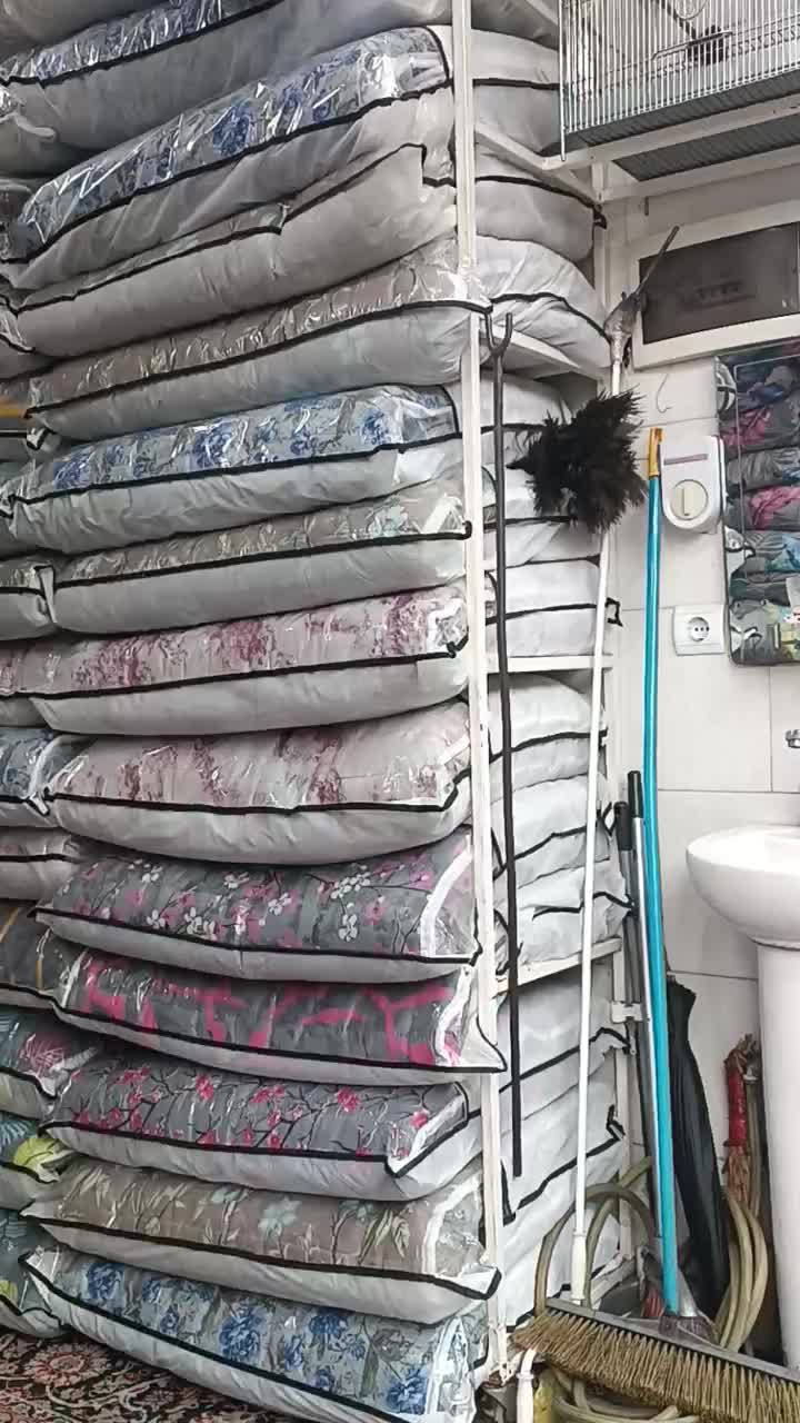 سهره ها همه تکثیر قفس|پرنده|رشت, خواهر امام|دیوار