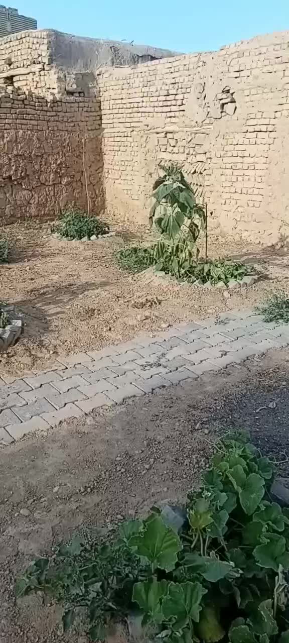 زمین ۲۶۰متر در پنج امام زاده تبادکان معاوضه ماشین|فروش زمین و ملک کلنگی|مشهد, شترک|دیوار